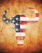 American Flag Longhorn - Art Print Image