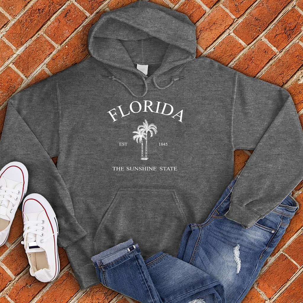 Florida 1845 Sunshine state Hoodie Hoodie tshirts.com Charcoal Heather S 