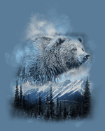 Grizzly Bear - Art Print Image