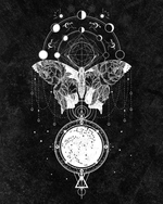 Cosmic Butterfly - Art Print Image