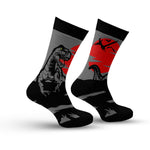 Dinosaur Socks Image