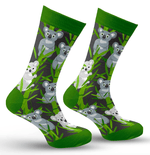 Koala Socks Image
