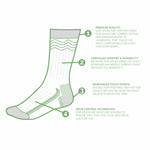 Dino Socks Image