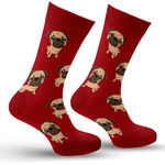 Pug Socks Image